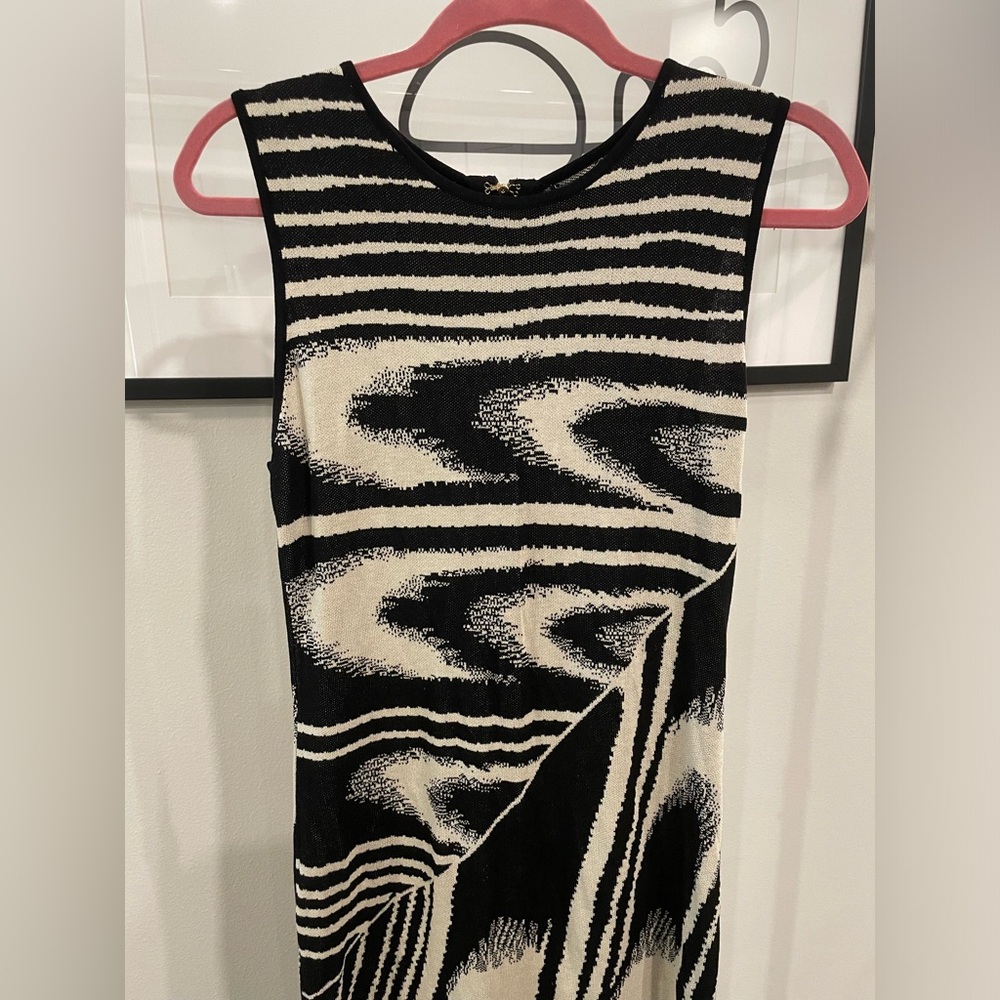 Fashion Nova Black and Cream Maxi Dress - Picture 5 of 9